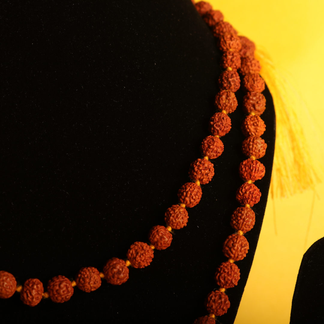 Original Brown Rudraksha Mala – 108+1 Beads for Japa & Meditation