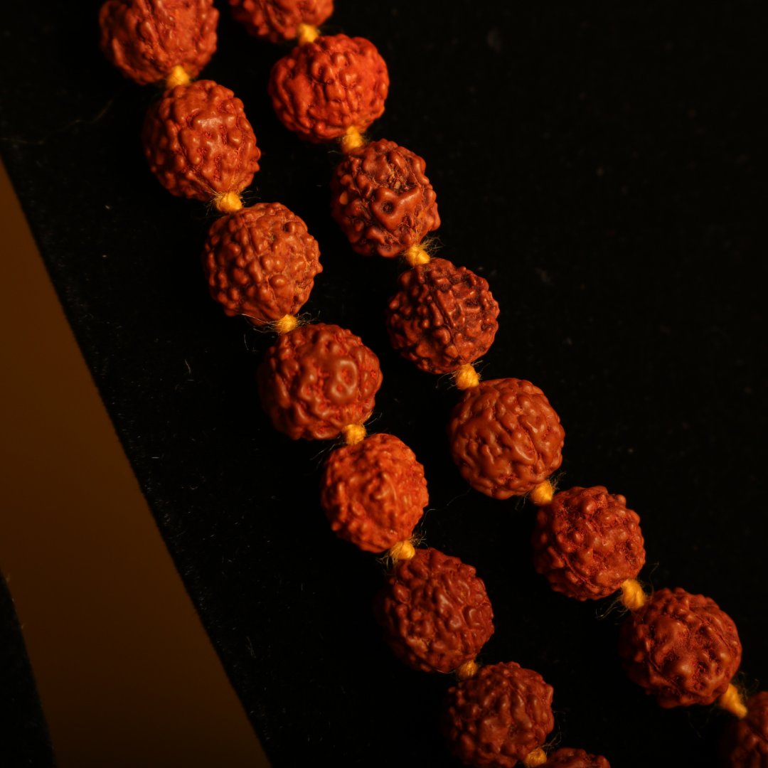 Original Brown Rudraksha Mala – 108+1 Beads for Japa & Meditation